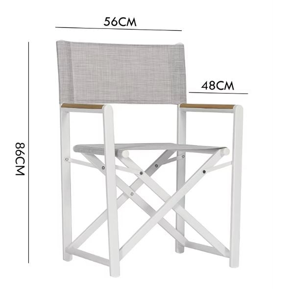 Director chair